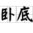 臥底(詞語釋義) 臥底(詞語釋義)