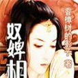 奴婢相思 奴婢相思