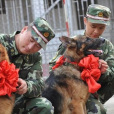功勳犬
