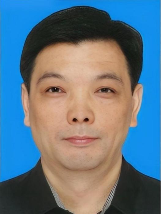萬振華(江蘇省南京市江寧區人民政府副區長) 萬振華(江蘇省南京市江寧區人民政府副區長)