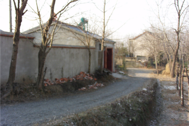 竹園墩遺址 竹園墩遺址