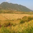 拖沖村 拖沖村