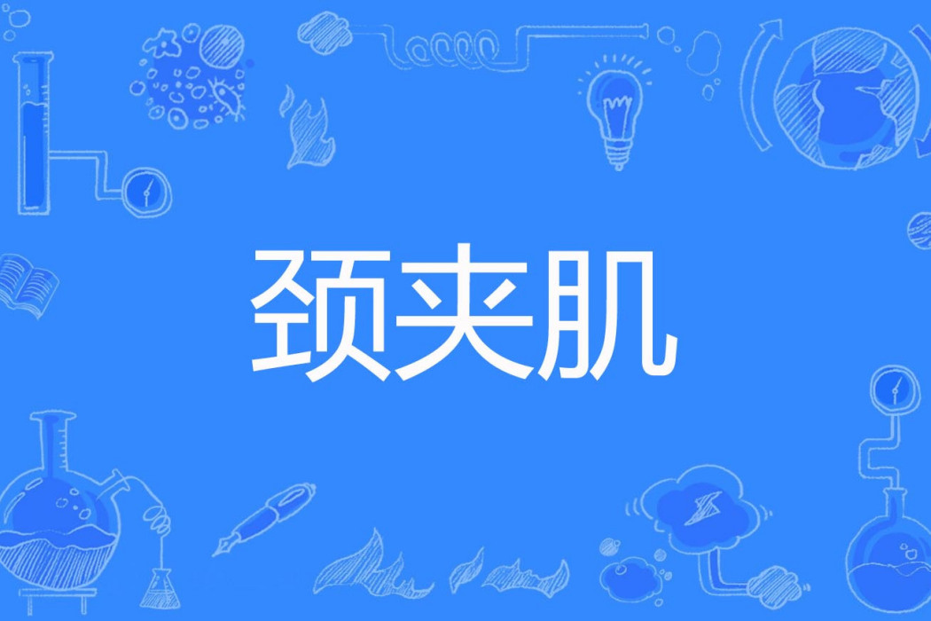 頸夾肌 頸夾肌