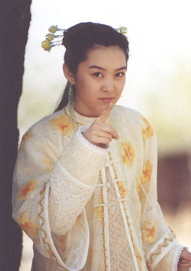 江山兒女幾多情(紅花會（吳京主演電視劇）)