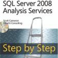 Microsoft® SQL Server® 2008 Analysis Services Step by Step Microsoft® SQL Server® 2008 Analysis Services Step by Step