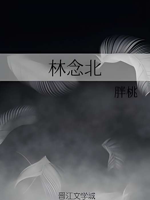林念北 林念北
