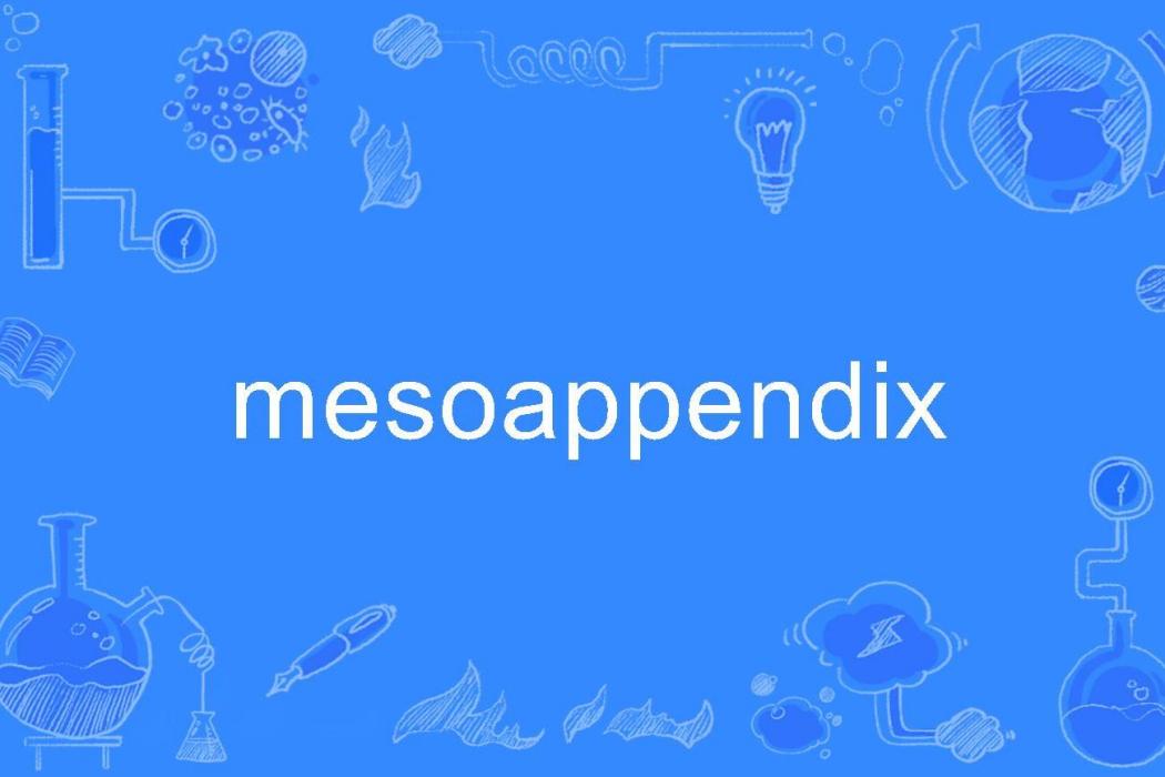 mesoappendix mesoappendix