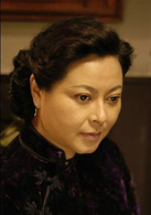 英雄無名(2007年毛衛寧拍攝電視劇)