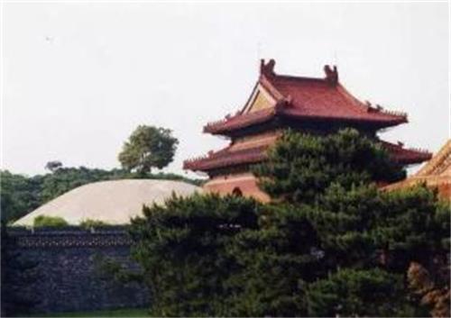 果房 果房