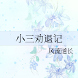 小三勸退記 小三勸退記