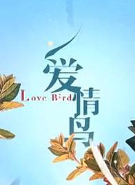 戴嬌倩 戴嬌倩