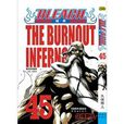 BLEACH 境·界45 BLEACH 境·界45