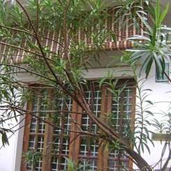 Johnson Homestay Johnson Homestay