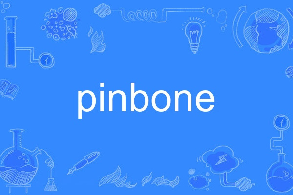 pinbone