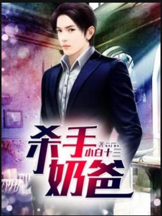 殺手奶爸(小白十三所著小說) 殺手奶爸(小白十三所著小說)