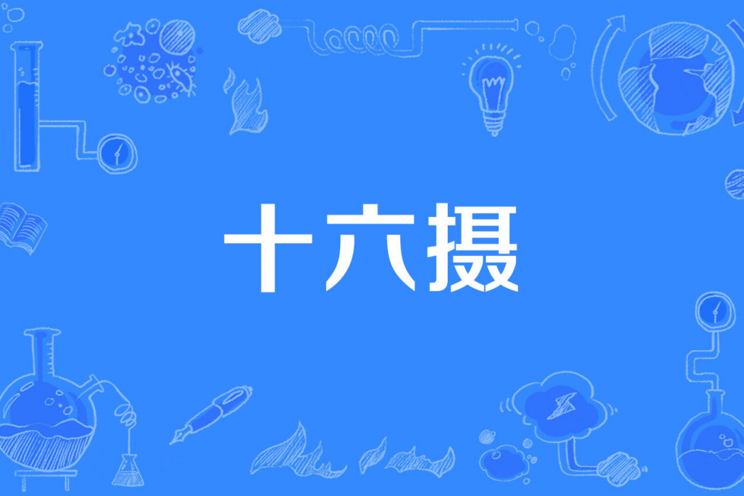 十六攝 十六攝