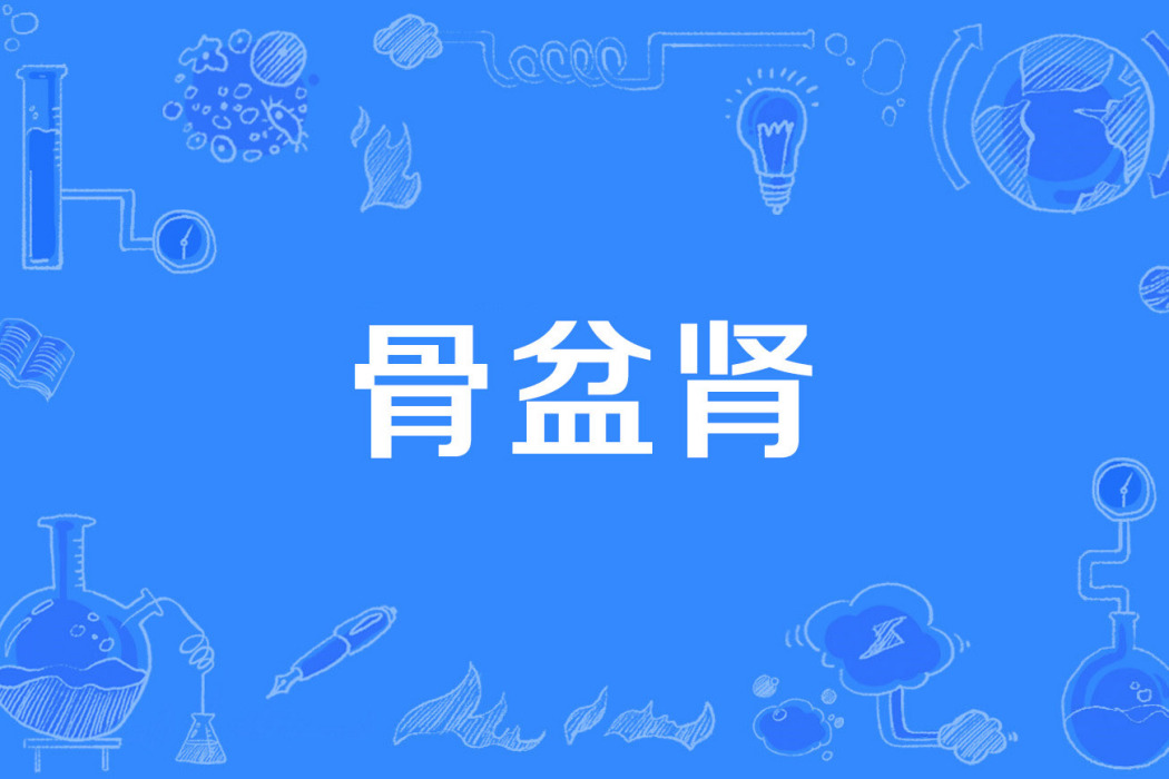 骨盆腎 骨盆腎