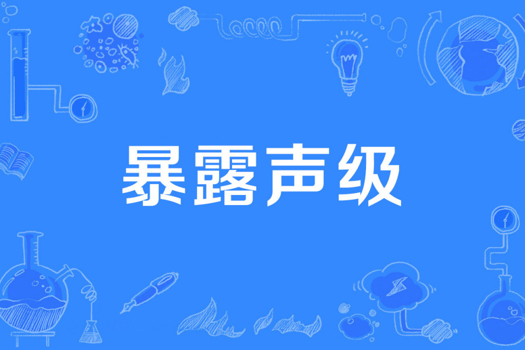 暴露聲級 暴露聲級