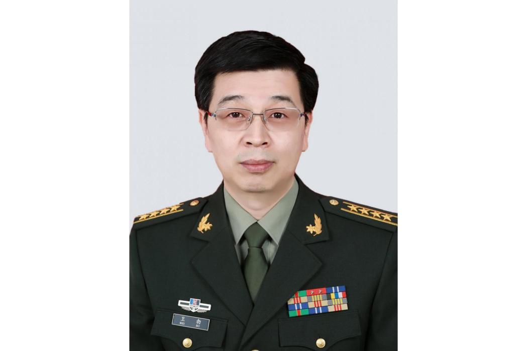 衛勃(中國人民解放軍總醫院胃外科主任醫師) 衛勃(中國人民解放軍總醫院胃外科主任醫師)