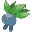走路草 走路草