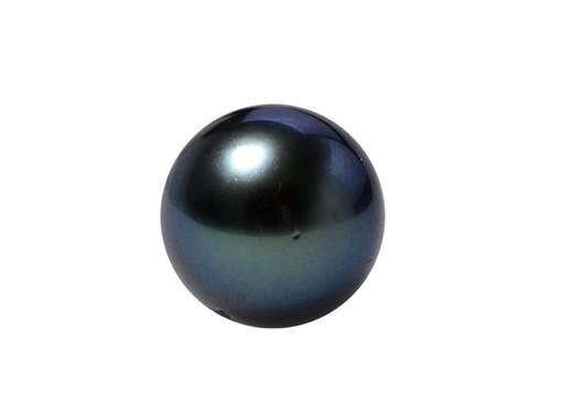 黑珍珠(珍珠種類)