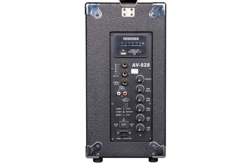聲威AV-828 聲威AV-828