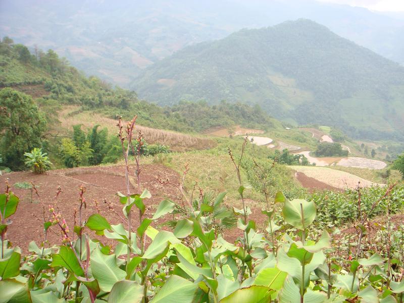 小格媽村 小格媽村