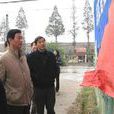 彌市鎮 彌市鎮