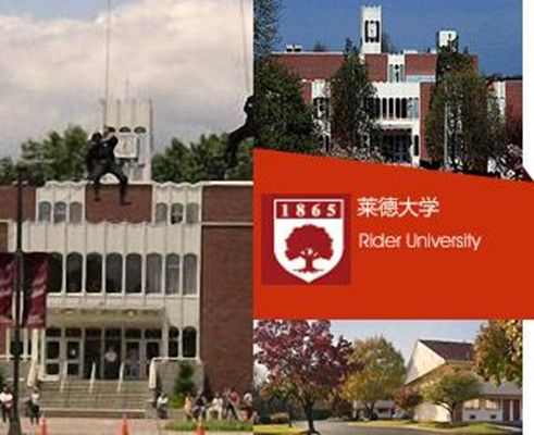萊德大學 萊德大學