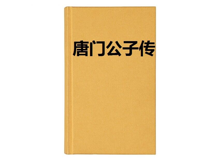唐門公子傳