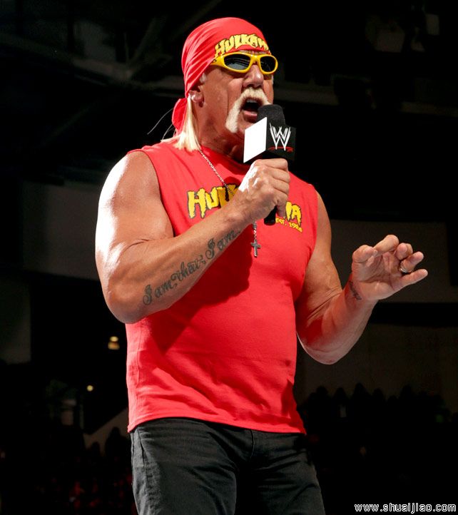 胡克·霍根(Hulk Hogan)