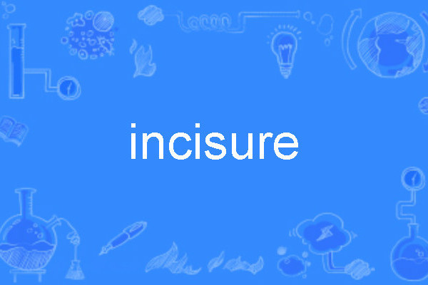 incisure incisure