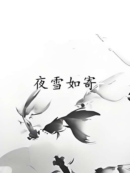 夜雪如寄 夜雪如寄