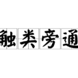 觸類旁通(漢語成語)