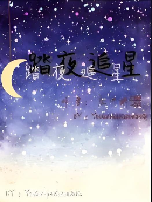 踏夜追星 踏夜追星