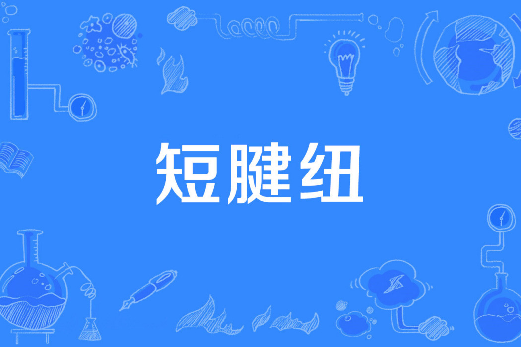 短腱紐 短腱紐
