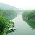 河流(沿著地表或地下長條狀槽形窪地流動的水流)