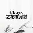 tfboys之花枝凋謝 tfboys之花枝凋謝