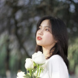 加菲菡z 加菲菡z