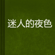 迷人的夜色 迷人的夜色