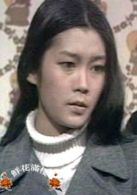 乘風破浪(1975年梁淑怡執導電視劇)
