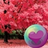 Pretty Pink Color HD Wallpapers Pretty Pink Color HD Wallpapers