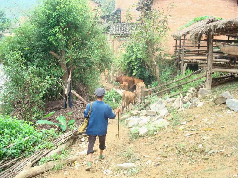 下者孟村 下者孟村