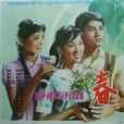 春暉(1982年吳蔭循執導的電影) 春暉(1982年吳蔭循執導的電影)
