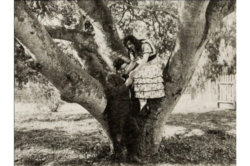 In the Twilight(美國1915年Tom Ricketts執導的電影) In the Twilight(美國1915年Tom Ricketts執導的電影)