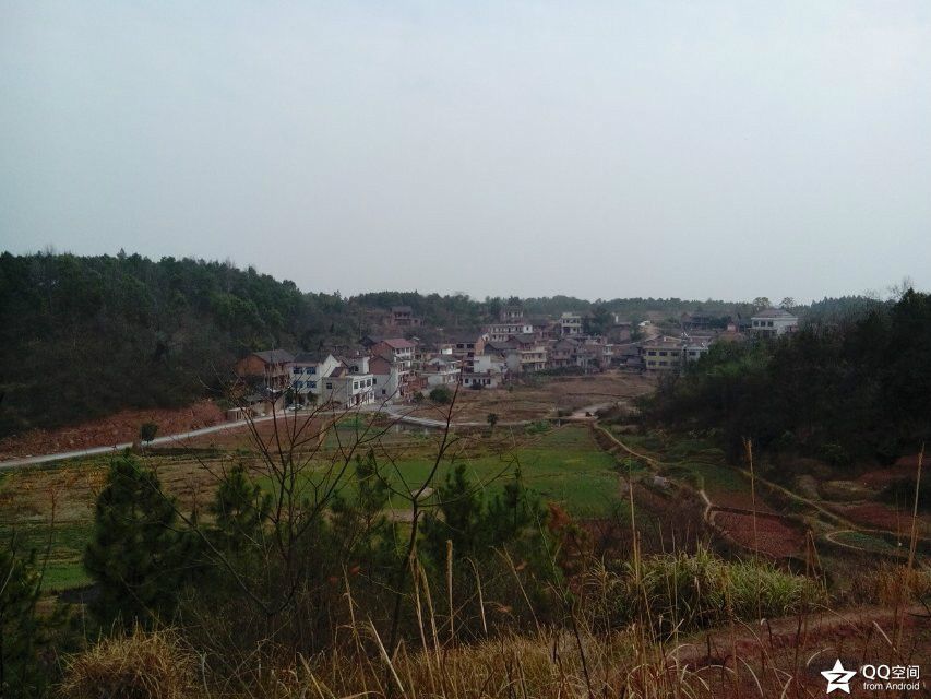太子村 太子村