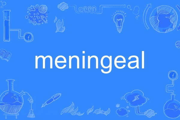 meningeal meningeal