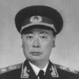 陳毅(中華人民共和國十大元帥之一)