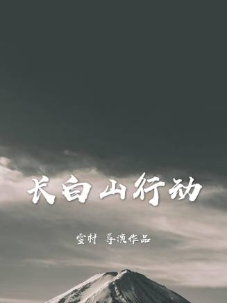 張景迪 張景迪