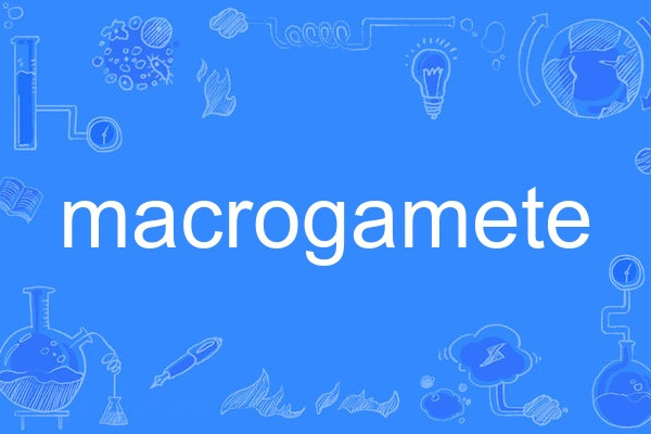 macrogamete macrogamete